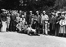 Die letzte Brenjagd - SWI swissinfo.ch